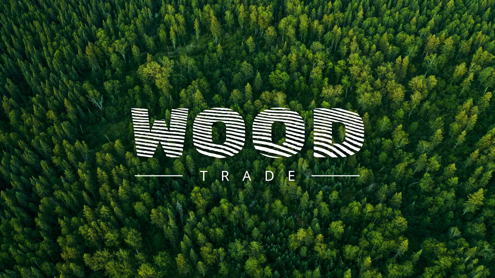 Разработка интернет-магазина компании «Wood Trade» в Пласте